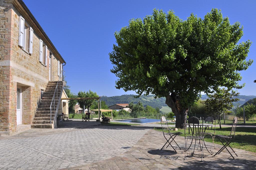 Pensjonat Tuttaterra Serra San Quirico Zewnętrze zdjęcie